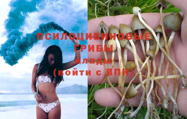 соль ск Балабаново