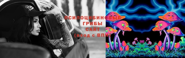 СК Балахна