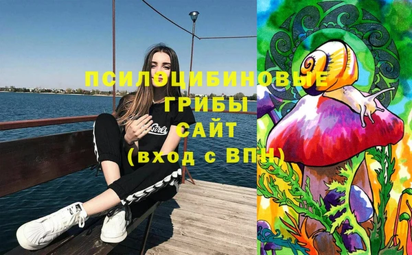 соль ск Балабаново